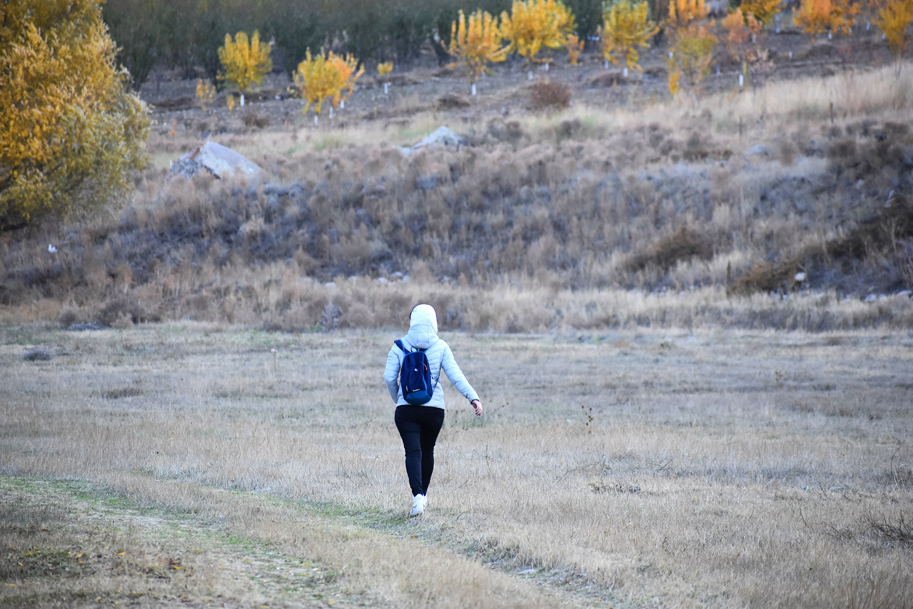 Solo traveler in the Valley of Arpa River, Vayots Dzor